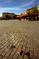 Skane (38)
